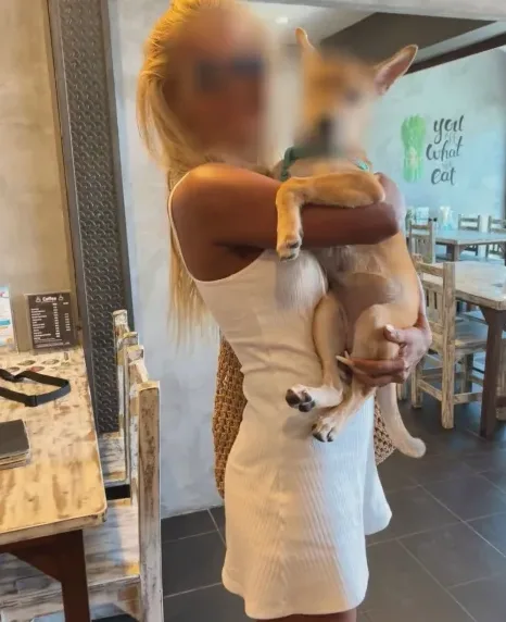 Diana, 25